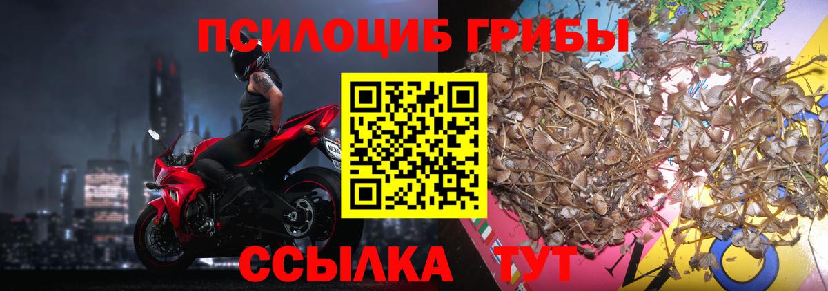 Долгопрудный  Псилоцибиновые грибы Magic Shrooms  Вход с VPN  Псилоцибиновые грибы прущие грибы 