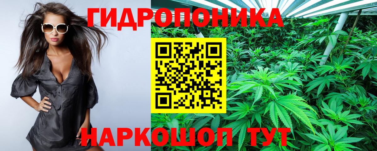 Шишки марихуана OG Kush  Шишки марихуана LSD WEED  Долгопрудный  Вход с VPN  Каннабис семена  МАРИХУАНА конопля 